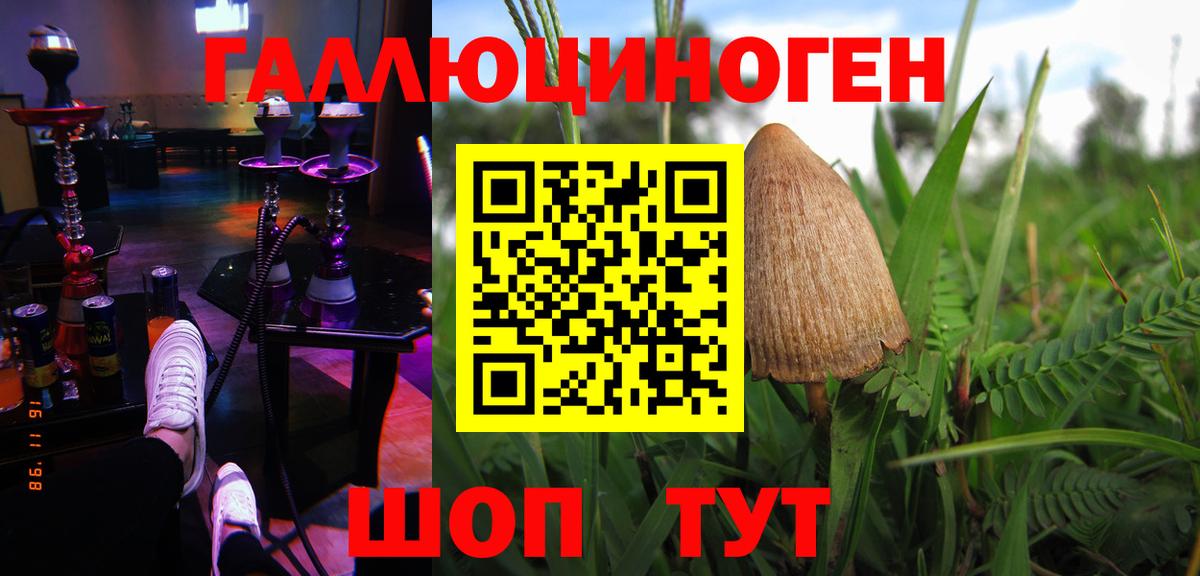 Псилоцибиновые грибы мухоморы  Вход с VPN  Сафоново  Галлюциногенные грибы прущие грибы 